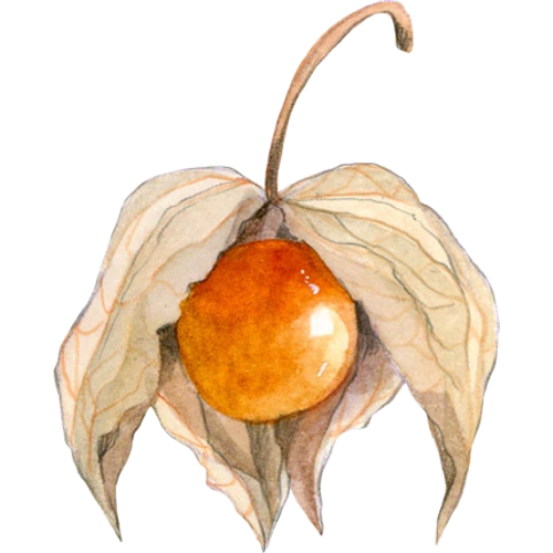 Südfrüchte