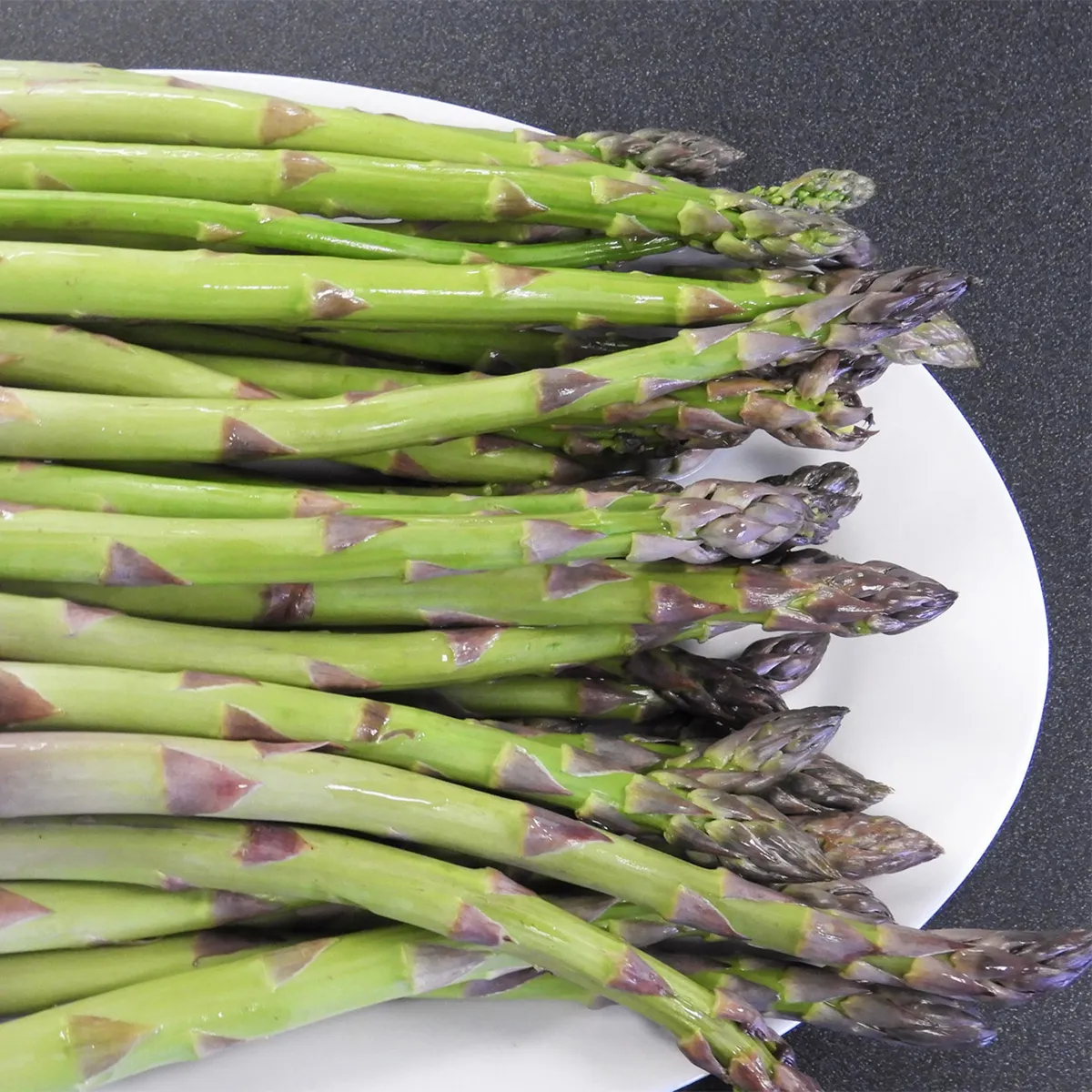 Violetter Spargel 'Argenteuil' (Asparagus officinalis) Bio-Saatgut