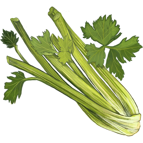 Stielgemüse