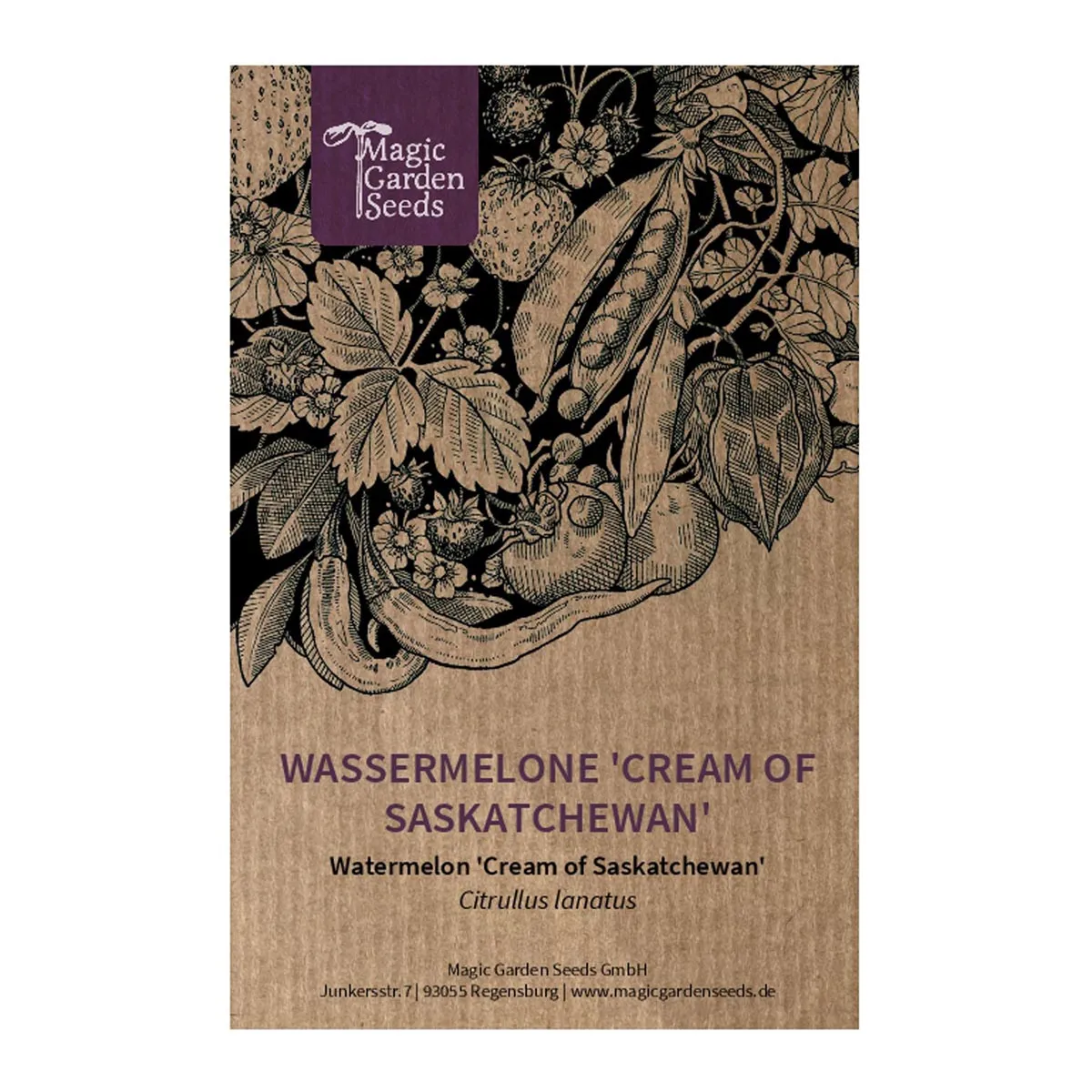 Wassermelone 'Cream of Saskatchewan' (Citrullus lanatus) Samen