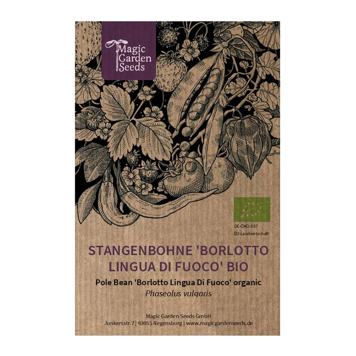 Stangenbohne 'Borlotto Lingua Di Fuoco' (Phaseolus vulgaris) Bio Saatgut