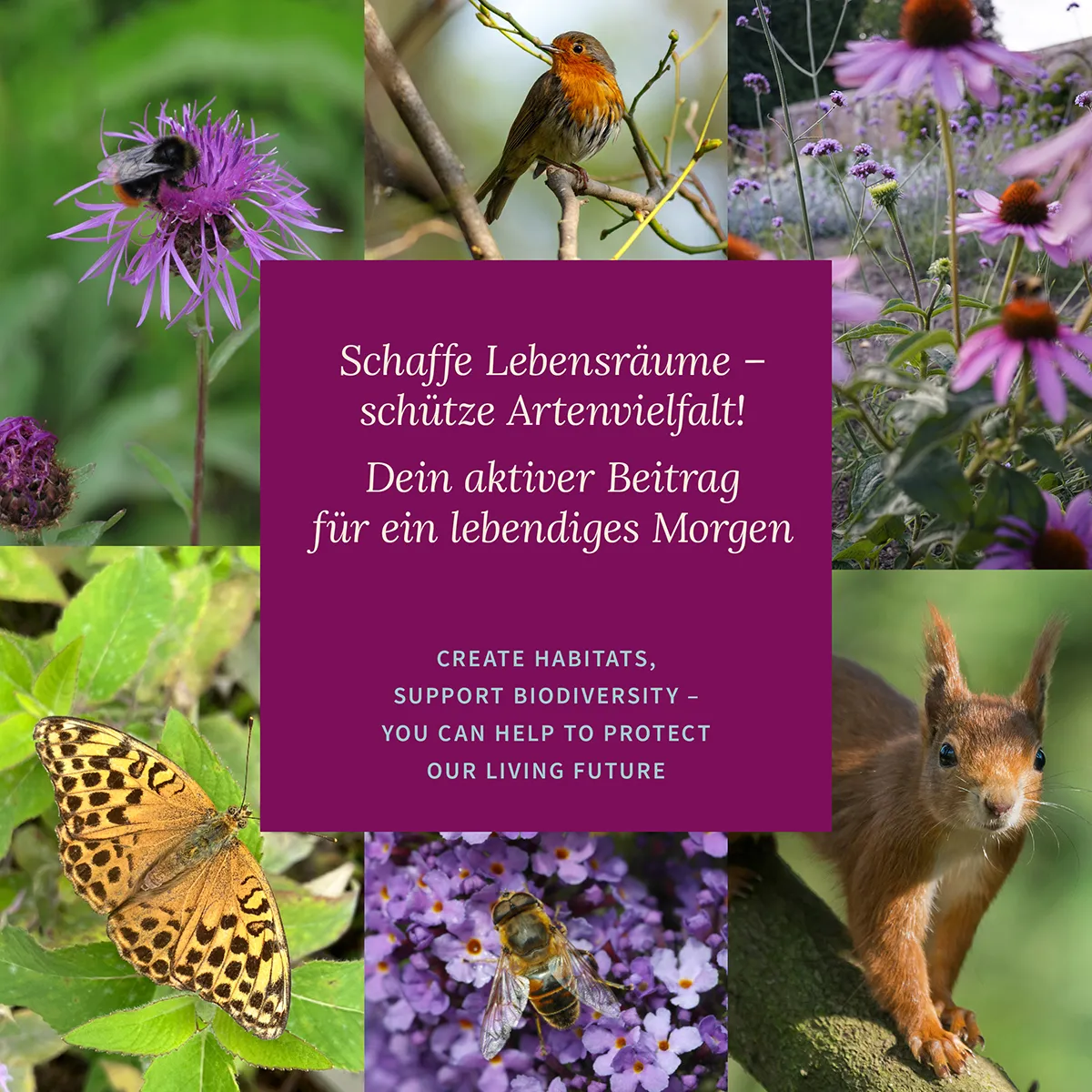 Winter Gemüse - Robuste Gemüsesorten für die kalte Jahreszeit - Samenset Nr. 41