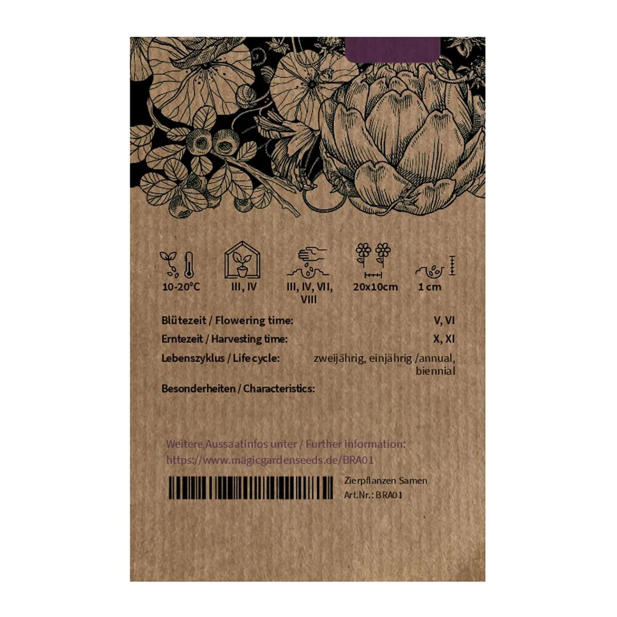 Teltower Rübchen (Brassica rapa var. teltowiensis) Samen