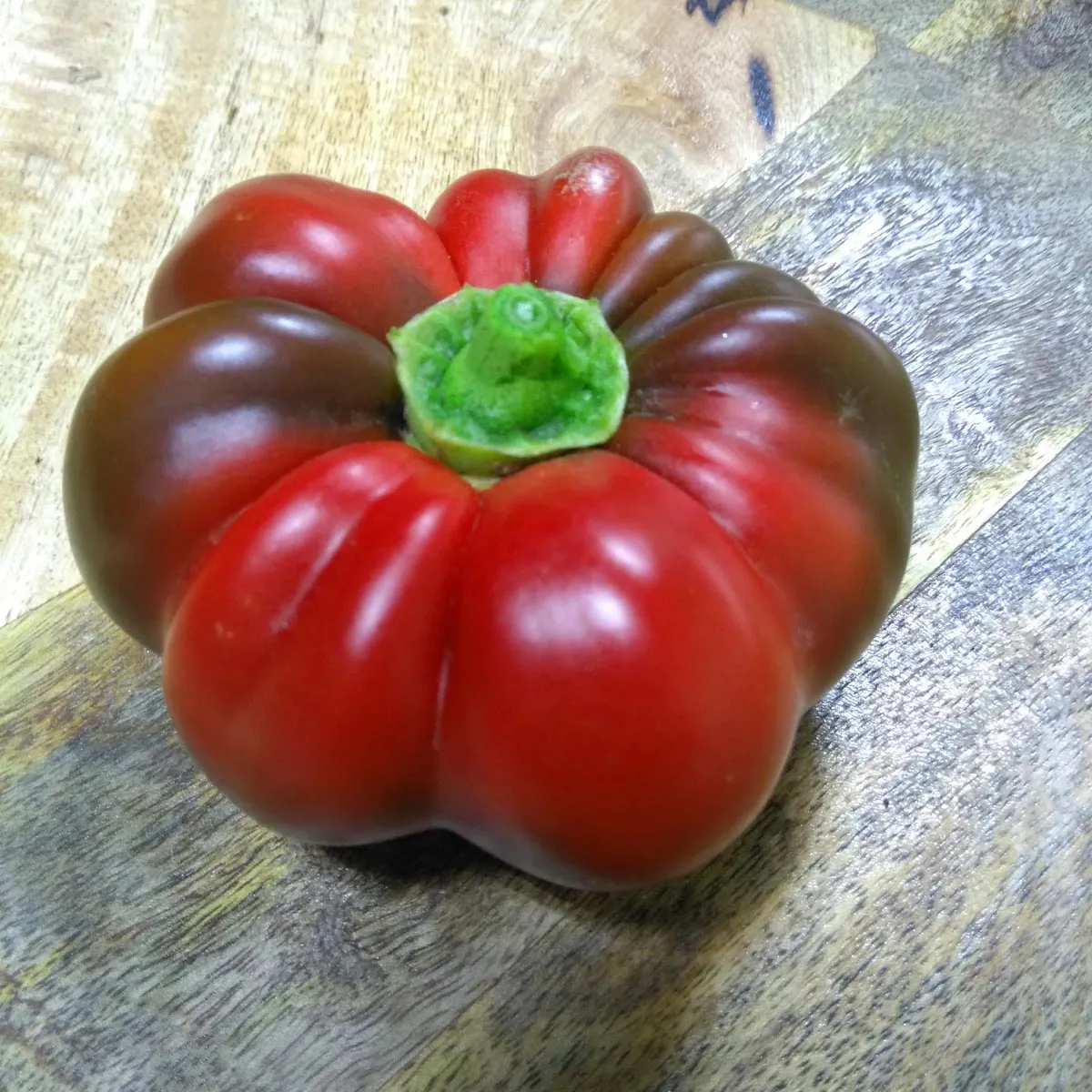 Tomaten-Paprika 'Topepo Rosso' (Capsicum annuum) Samen