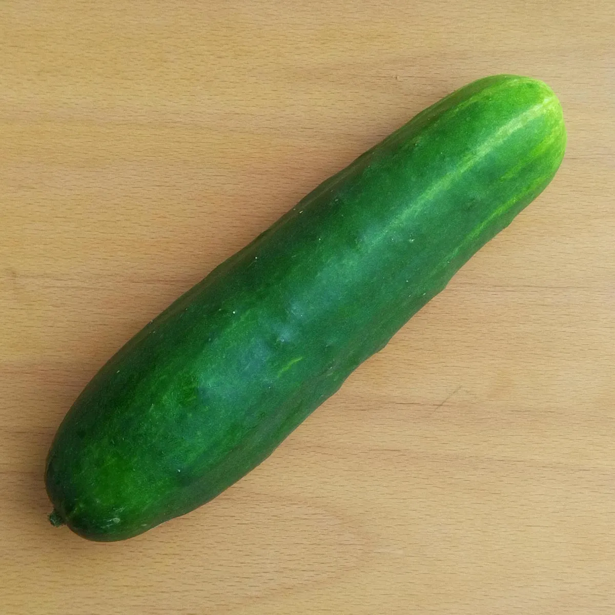 Gurke 'Marketmore’ (Cucumis sativus) Bio Saatgut