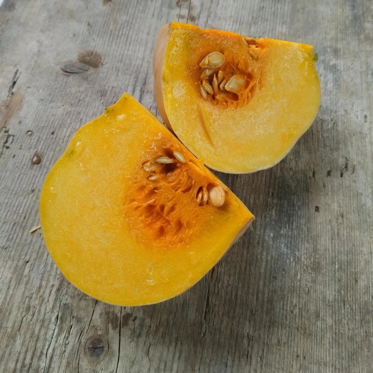 Muskatkürbis 'Muscade de Provence' (Cucurbita moschata) Bio Saatgut