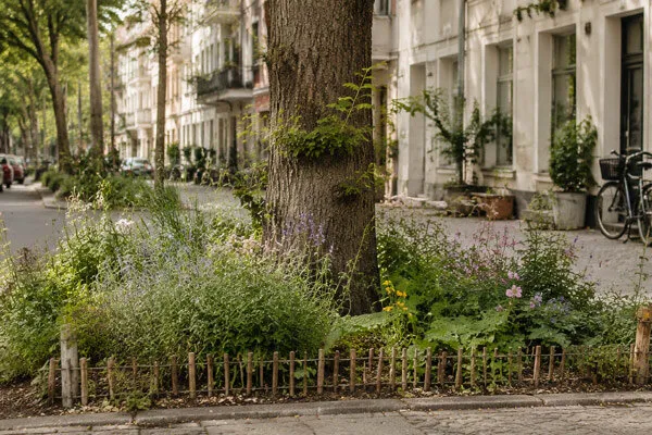 Bepflanzte Baumscheibe an einer Stadtstraße