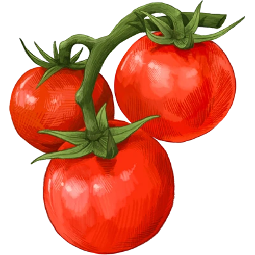 Tomaten