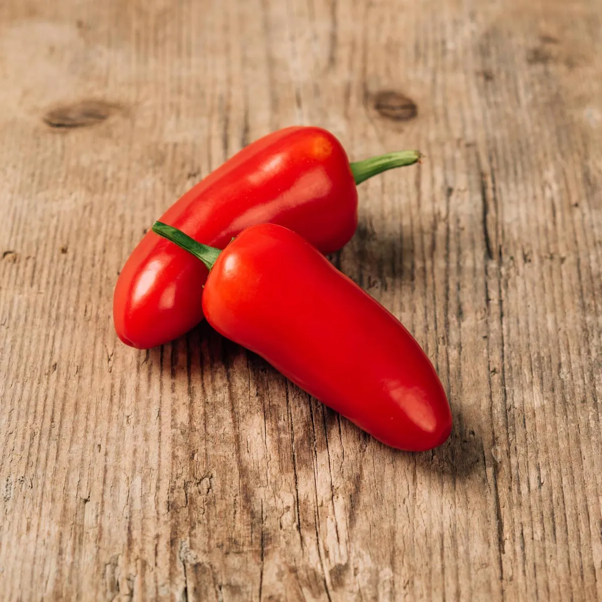 Chili 'Jalapeño' (Capsicum annuum) Bio Saatgut