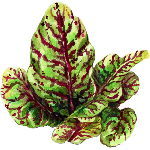 Blattgemüse