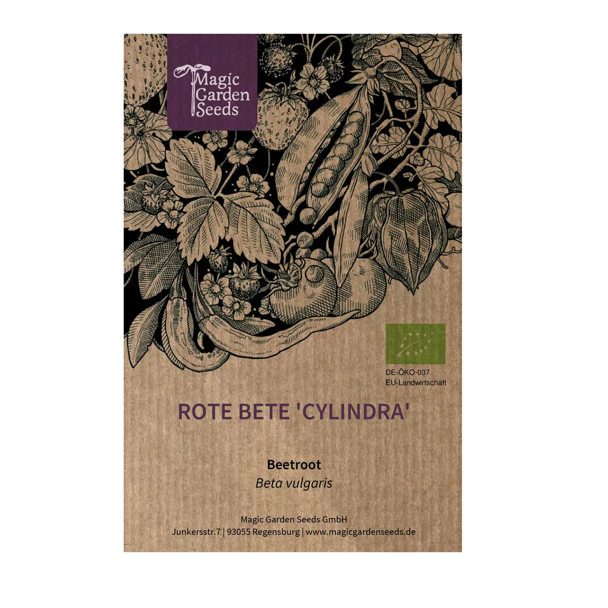 Rote Bete 'Cylindra' (Beta vulgaris) Bio Saatgut