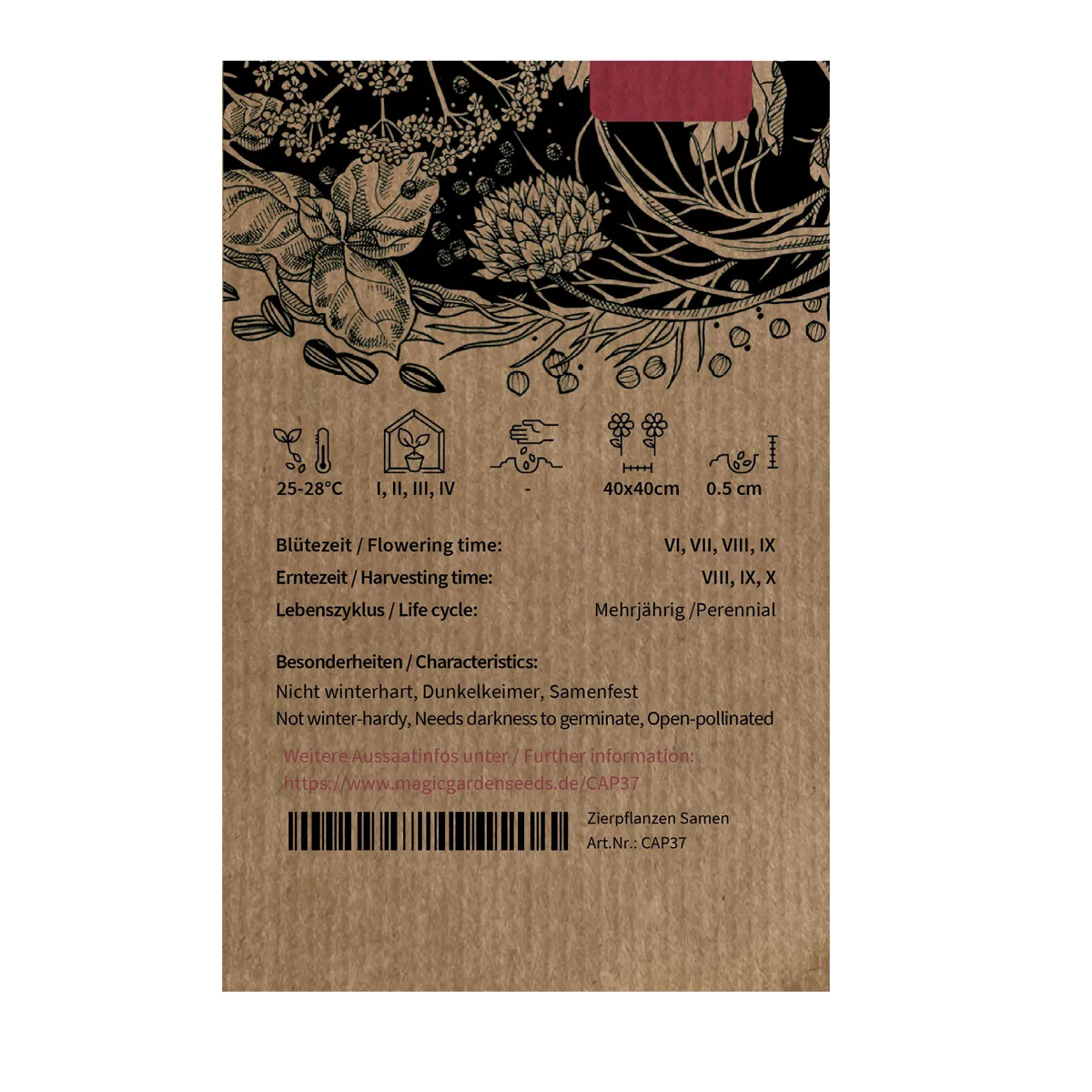Chili 'Trinidad Scorpion Chocolate' (Capsicum chinense) Samen
