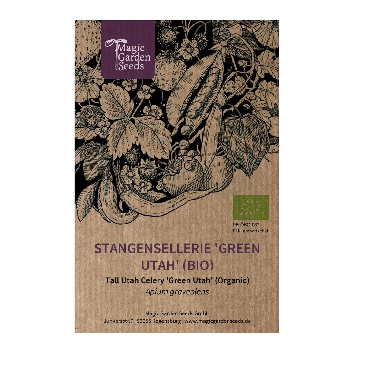 Stangensellerie 'Green Utah' (Apium graveolens) Bio Saatgut