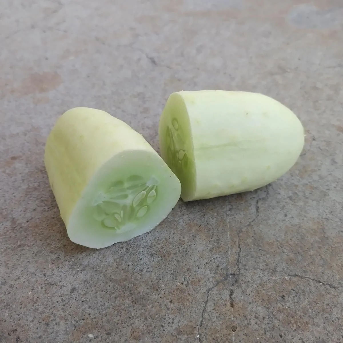 Weisse Gurke 'White Wonder' (Cucumis sativus) Samen