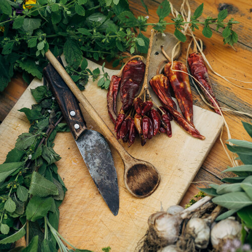 Getrocknete Chilis, frische Kräuter und Knoblauch auf einem Holzbrett mit Messer und Holzlöffel