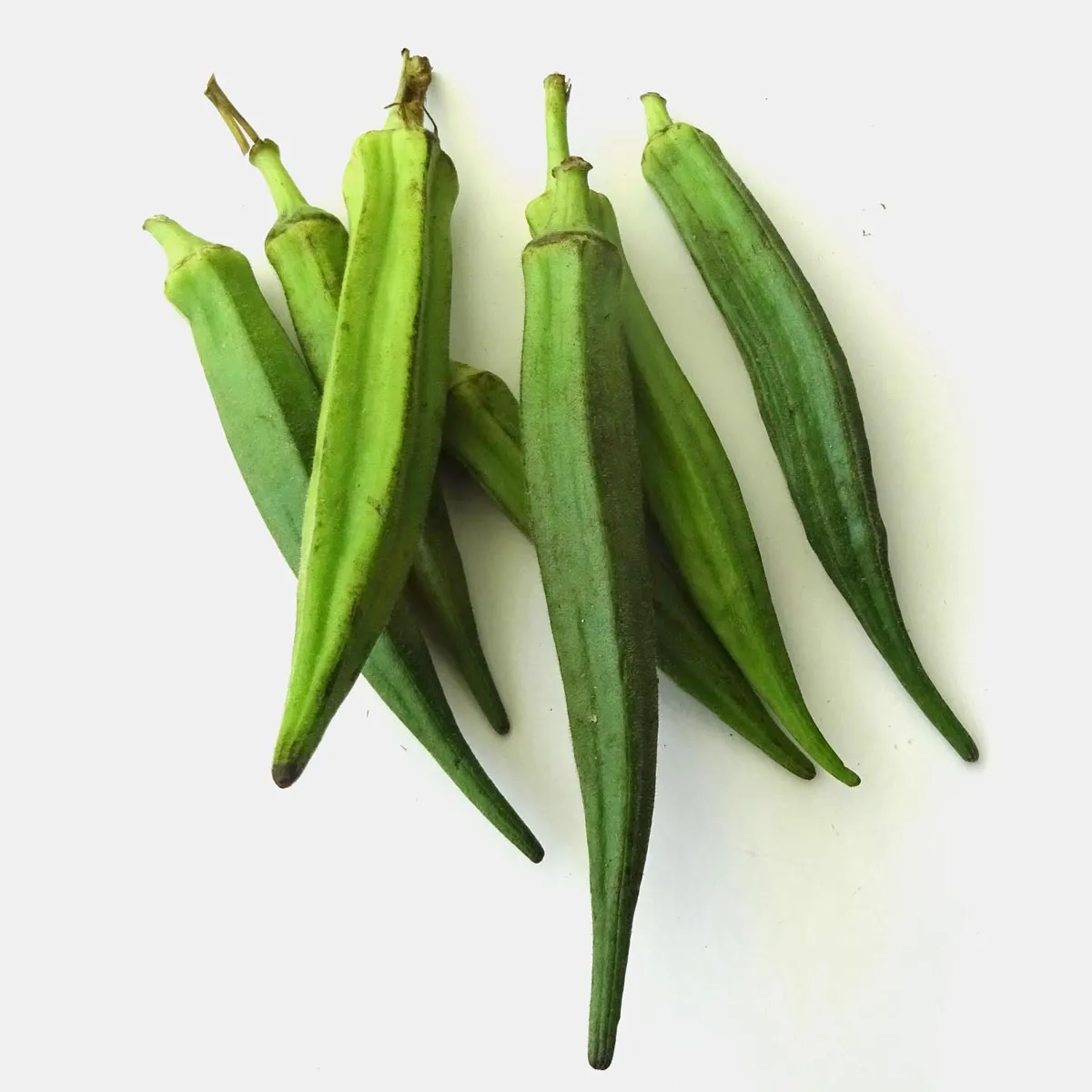 Okra (Abelmoschus esculentus) Samen