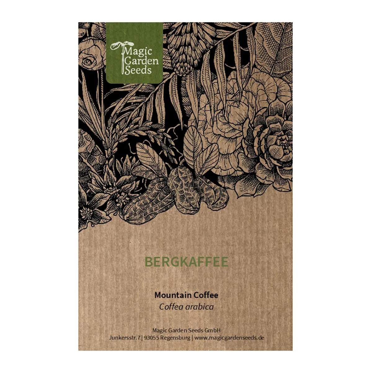 Bergkaffee (Coffea arabica) Samen