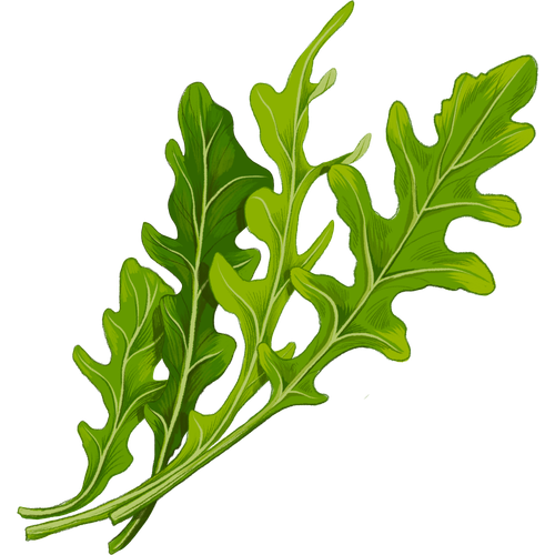 Salat