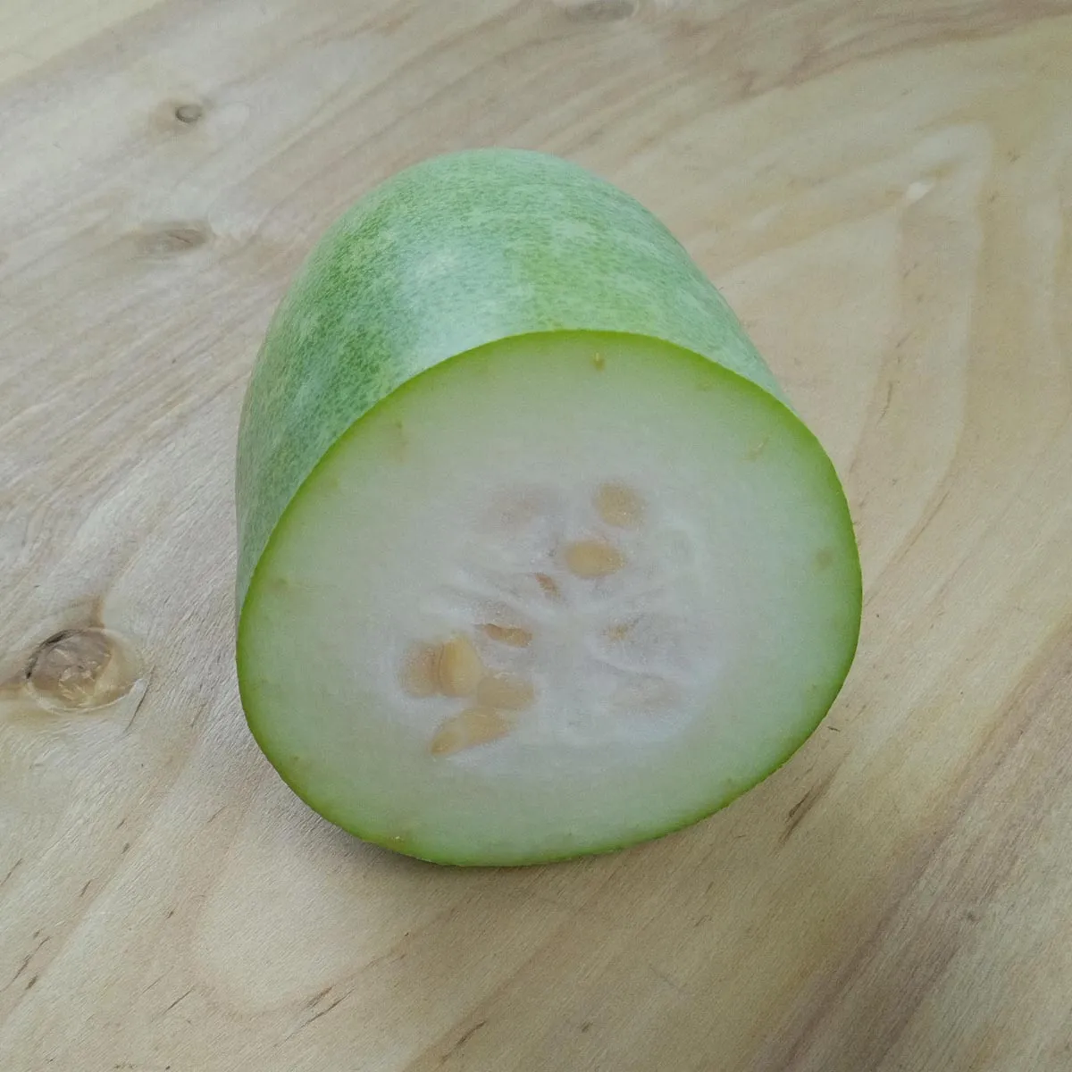 Wachskürbis / Wintermelone (Benincasa hispida) Samen