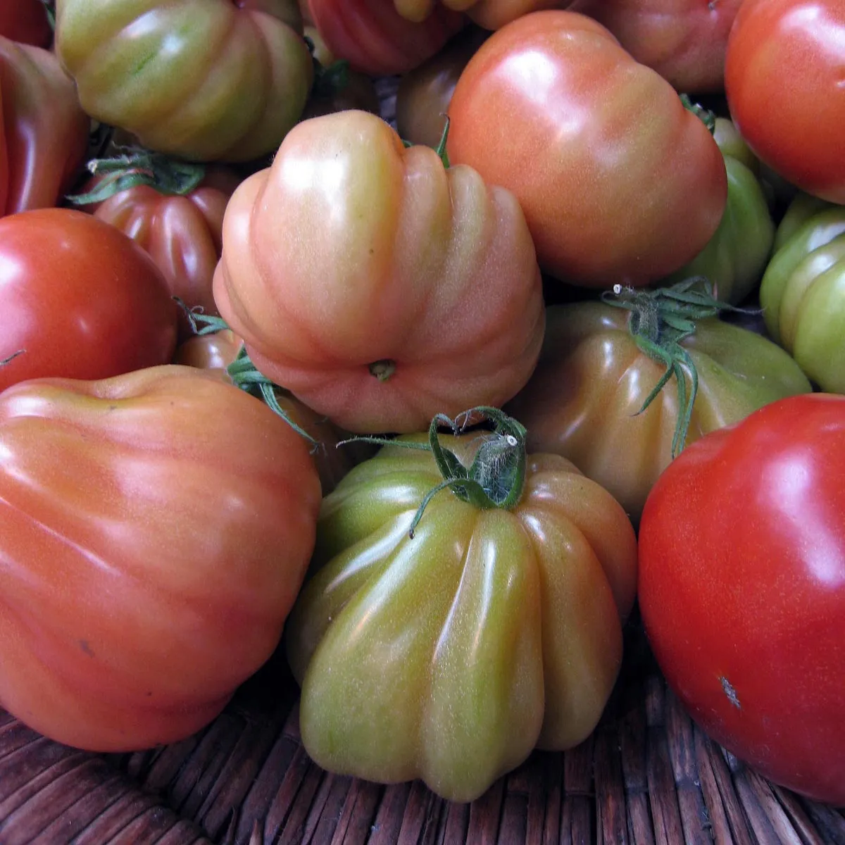 Italienische Ochsenherz-Tomate 'Cuore di bue' (Solanum lycopersicum) Samen