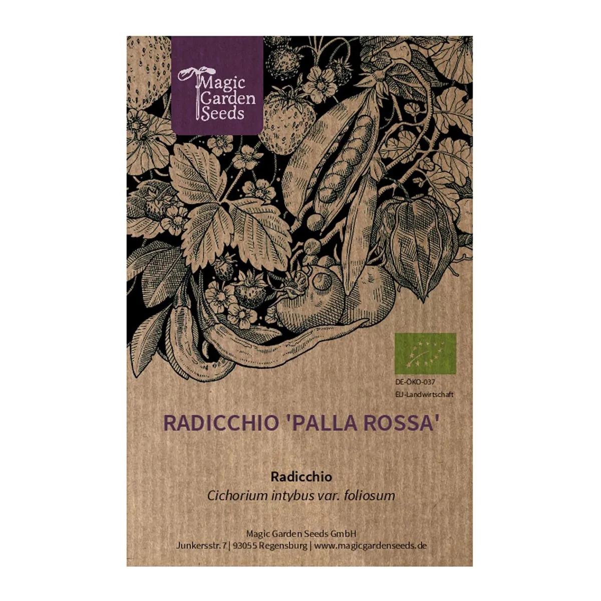 Radicchio 'Palla Rossa' (Cichorium intybus var. foliosum) Bio Saatgut