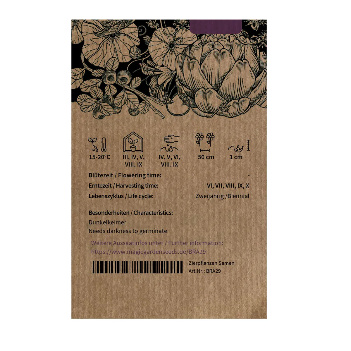 Grüner Blumenkohl 'Verde di Macerata' (Brassica oleracea var. botrytis) Samen