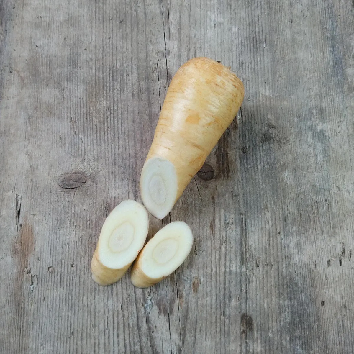 Pastinake 'Tender and True' (Pastinaca sativa) Bio Saatgut