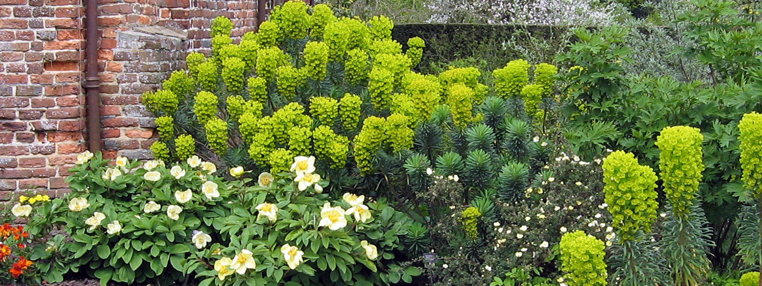 Staudenbeet in Sissinghurst
