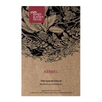 Kerbel (Anthriscus cerefolium) Samen
