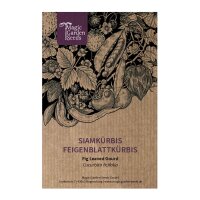 Siamkürbis / Feigenblattkürbis (Cucurbita...