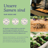Gemüse Raritäten für Garten & Küche - Samenset Nr.7