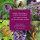 Gemüse Raritäten für Garten & Küche - Samenset Nr.7
