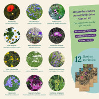 Blumen-Wiese: Bunte Wildblumen für Bienen, Garten...
