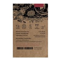 Asiatische Duftnessel | Koreanische Minze (Agastache rugosa) Bio-Saatgut